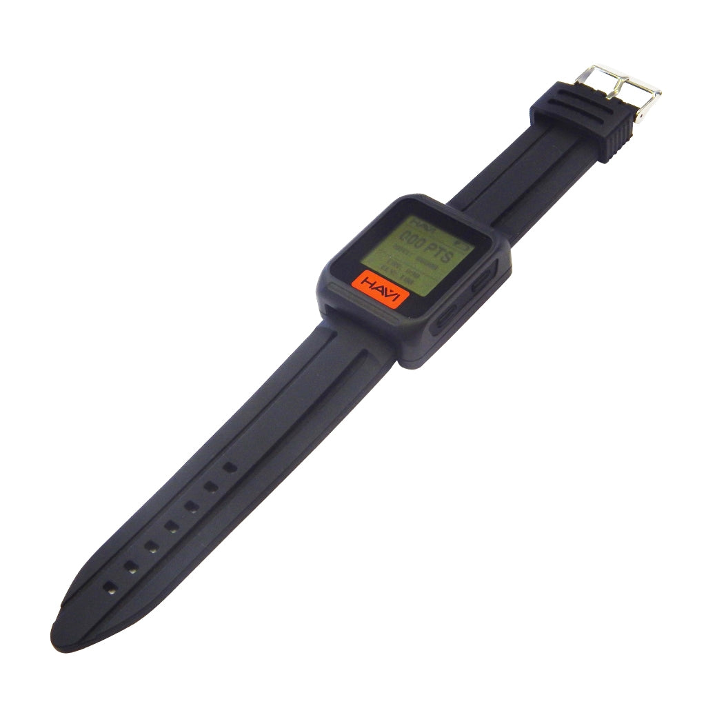 HAVi Watch and Charger