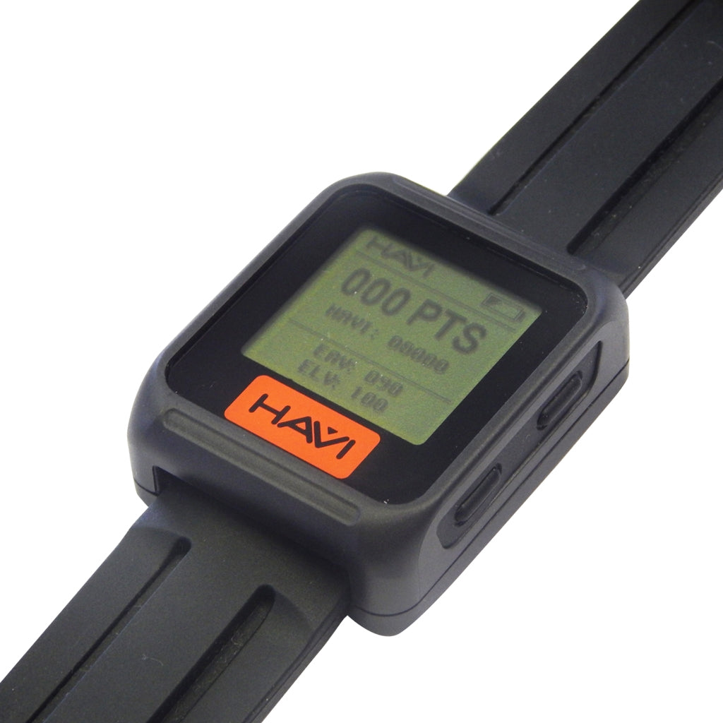 HAVi Watch and Charger